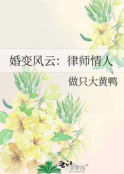 婚变风云：律师情人