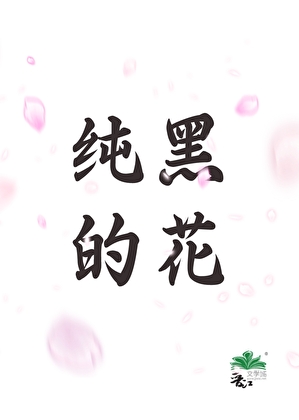 许愿星