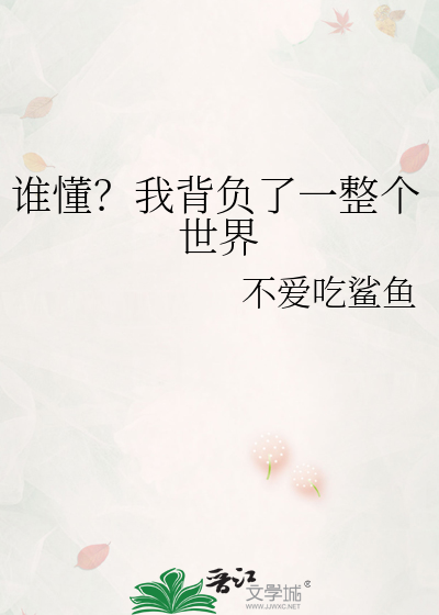 流星默然坠落的世界