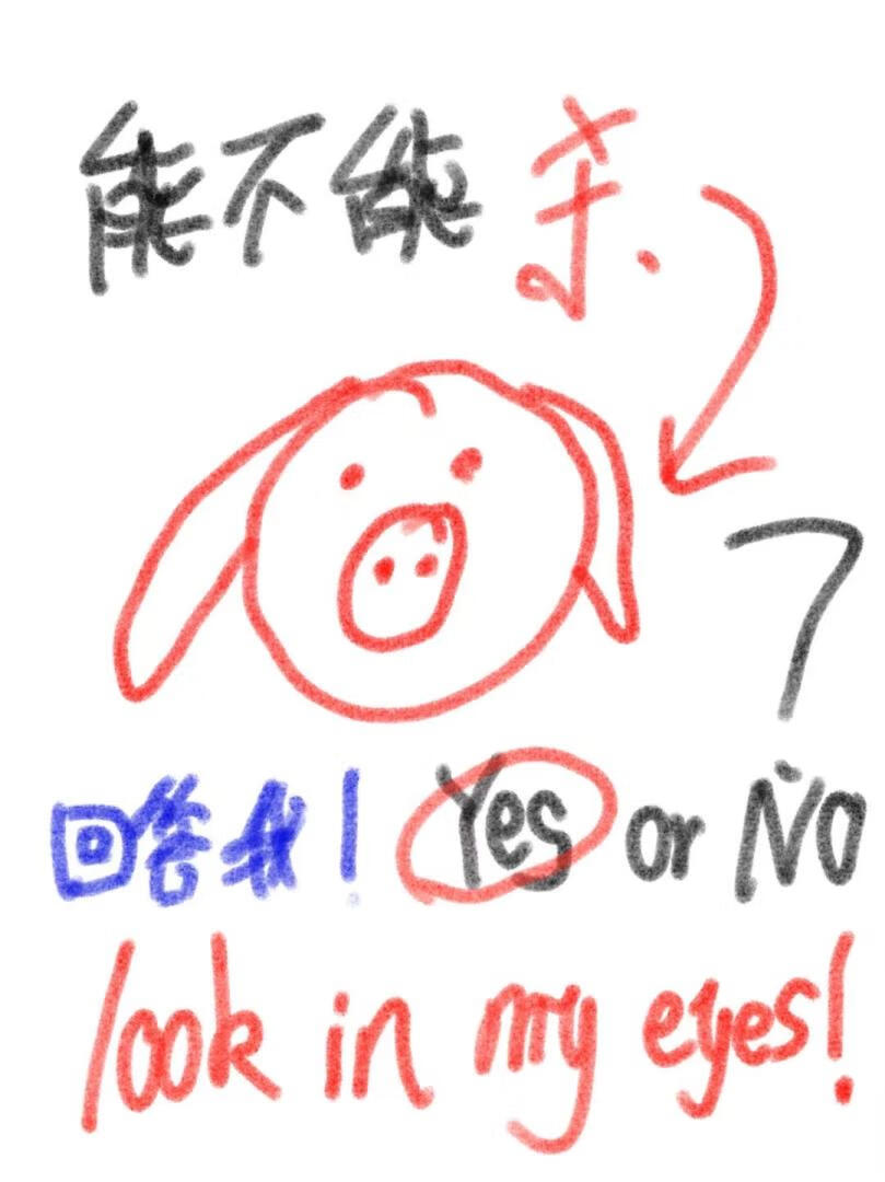 普南尼特人的雪