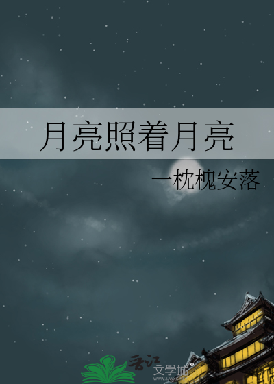 【师娘】窃宝