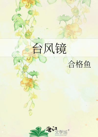台风镜