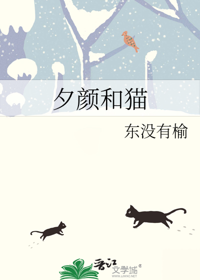 掌中观纹