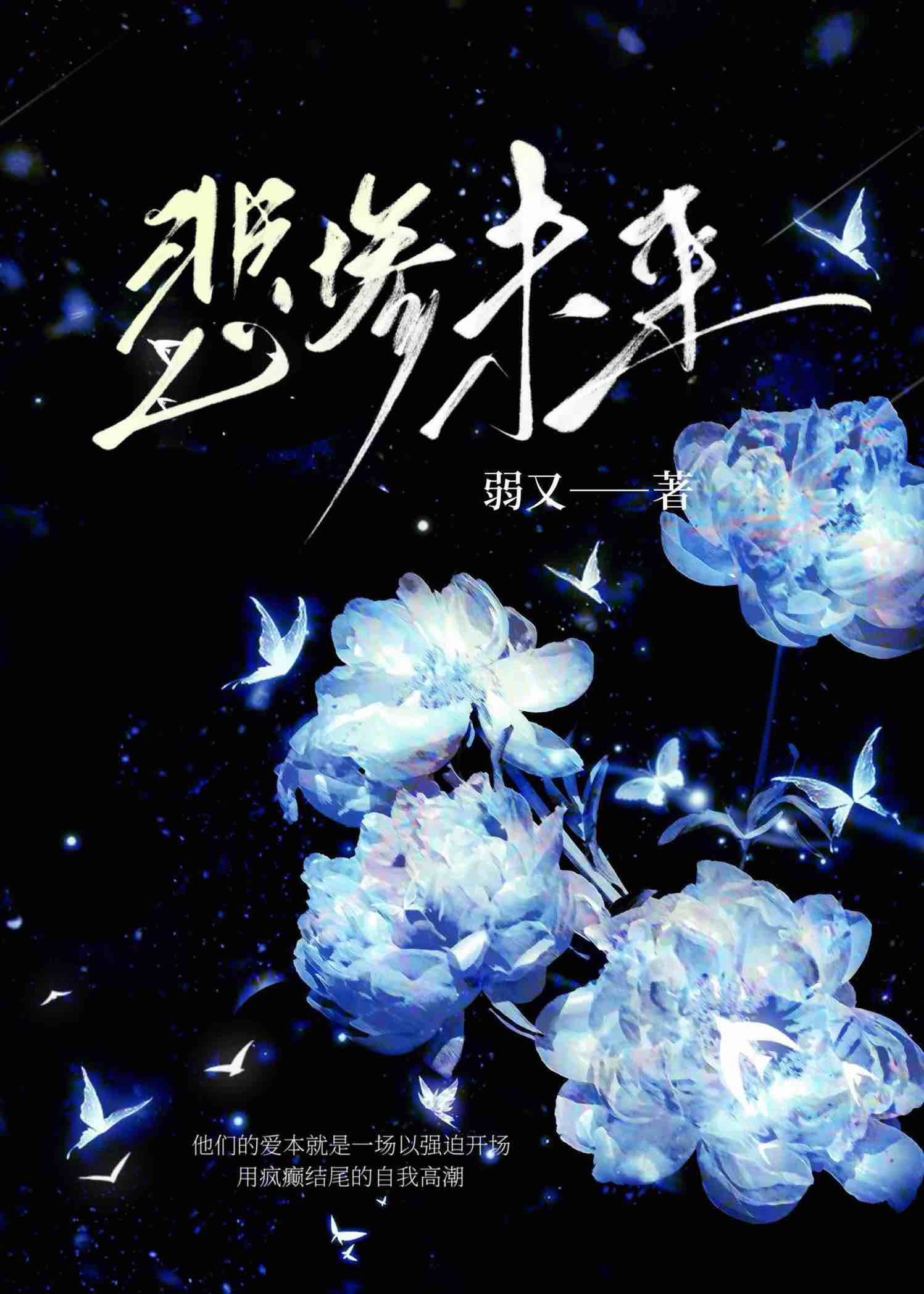 12月成长日记