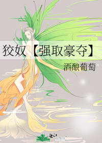 毛娘义务进行时